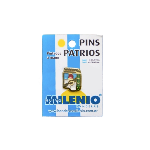 PINS MOTIVOS PATRIOS X10