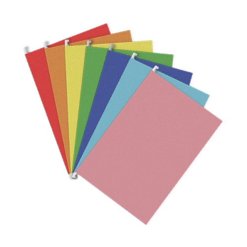 CARPETA COLGANTE NEPACO COLOR
