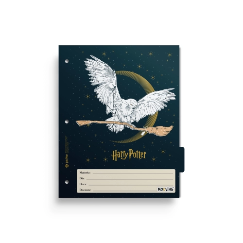 SEPARADOR ESCOLAR MOOVING HARRY POTTER